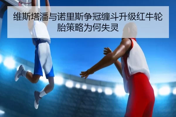 维斯塔潘与诺里斯争冠缠斗升级红牛轮胎策略为何失灵